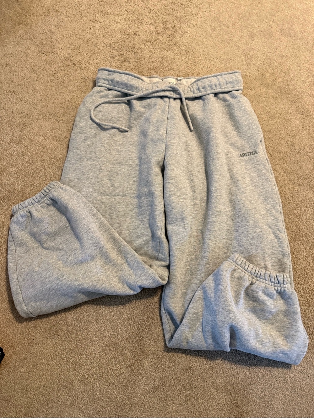 Aritzia Sweatfleece Mega Fit Sweatpants - Picture 2 of 4